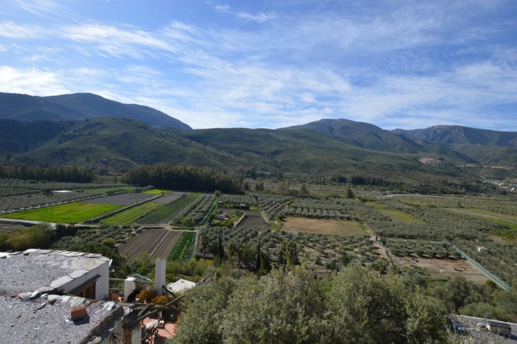 Tiloa nar Orgiva