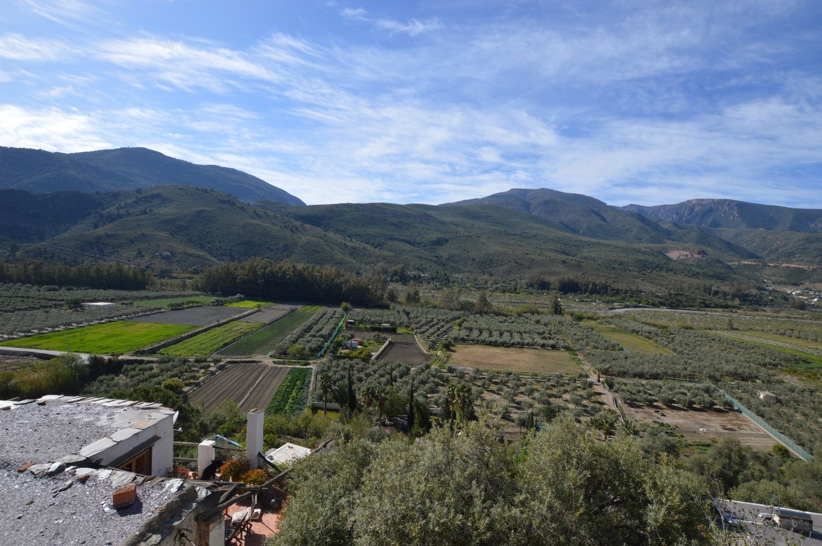 Tiloa nar Orgiva